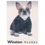 Only Wan ! Vol 04 [3.Winston (French Bulldog)]