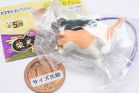 Shiba Inu Netsuke Part.2 [5.Osuwari]