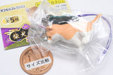 Shiba Inu Netsuke Part.2 [5.Osuwari]