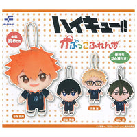 Haikyu!! Capukko friends Part.1 [All 4 type set(Full Complete)]