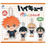 Haikyu!! Capukko friends Part.1 [All 4 type set(Full Complete)]