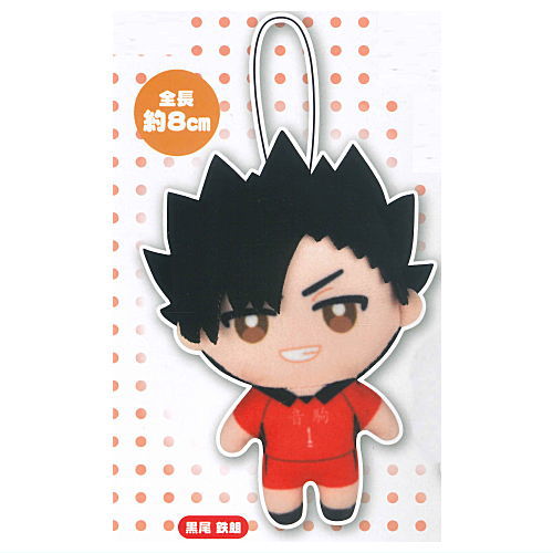 Haikyu!! Capukko friends Part.2 [1.Tetsuro Kuroo]