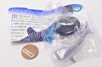 Nature Techni colour 400 Shark  [2.Whale shark]