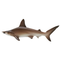 Nature Techni colour 400 Shark  [3.Scalloped hammerhead]
