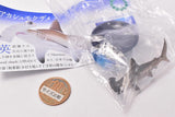 Nature Techni colour 400 Shark  [3.Scalloped hammerhead]