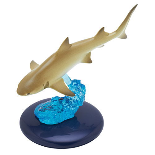 Nature Techni colour 400 Shark  [5.Lemon shark]