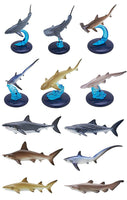 Nature Techni colour 400 Shark  [All 6 type set(Full Complete)]