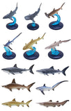 Nature Techni colour 400 Shark  [All 6 type set(Full Complete)]