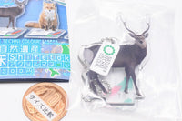 Nature Techni Colour World Natural Heritage Shiretoko Acrylic Mascot [1.Ezo deer]