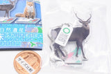 Nature Techni Colour World Natural Heritage Shiretoko Acrylic Mascot [1.Ezo deer]