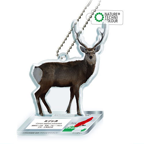 Nature Techni Colour World Natural Heritage Shiretoko Acrylic Mascot [1.Ezo deer]