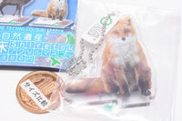 Nature Techni Colour World Natural Heritage Shiretoko Acrylic Mascot [2.Ezo red fox]