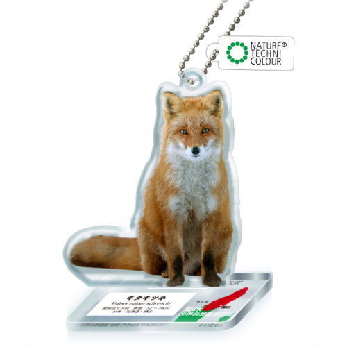 Nature Techni Colour World Natural Heritage Shiretoko Acrylic Mascot [2.Ezo red fox]