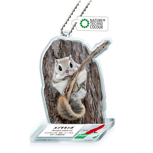 Nature Techni Colour World Natural Heritage Shiretoko Acrylic Mascot [3.Ezo flying squirrel]