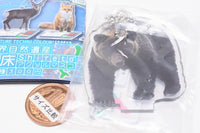 Nature Techni Colour World Natural Heritage Shiretoko Acrylic Mascot [4.Ezo brown bear]