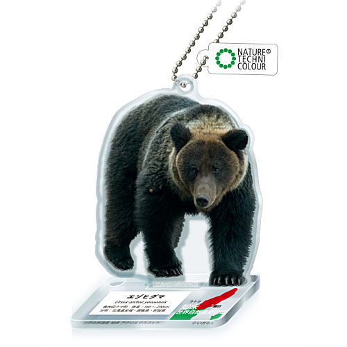 Nature Techni Colour World Natural Heritage Shiretoko Acrylic Mascot [4.Ezo brown bear]
