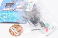 Nature Techni Colour World Natural Heritage Shiretoko Acrylic Mascot [5.Blakiston's fish owl]