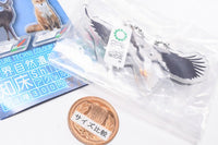 Nature Techni Colour World Natural Heritage Shiretoko Acrylic Mascot [7.Steller's sea eagle]