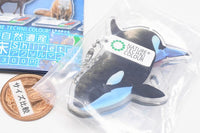 Nature Techni Colour World Natural Heritage Shiretoko Acrylic Mascot [8.Killer whale]