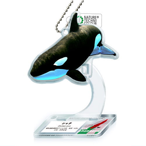 Nature Techni Colour World Natural Heritage Shiretoko Acrylic Mascot [8.Killer whale]