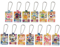 Aikatsu! Daredemo Idol Katsudo Acrylic Charm [All 13 type set(Full Complete)]