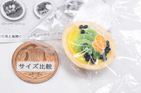 Acai Bowl Miniature Collection [3.Kiwi & Blueberry]
