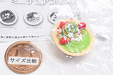 Acai Bowl Miniature Collection [4.Kiwi & Pomegranate]
