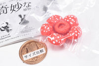 Strange Plants of the World [4.Rafflesia]