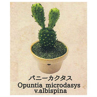 Strange Plants of the World [5.Bunny Cactus]