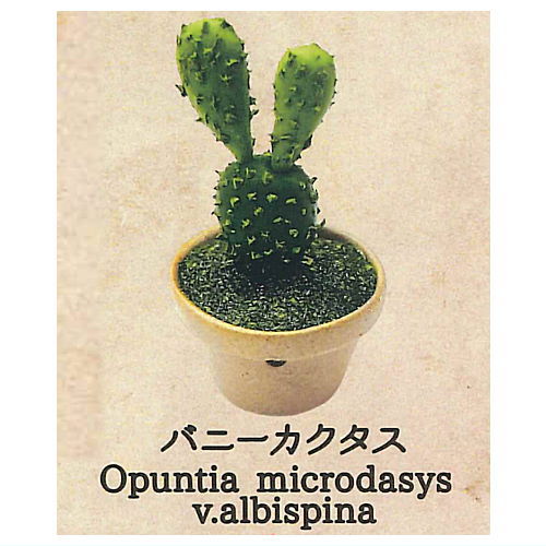 Strange Plants of the World [5.Bunny Cactus]