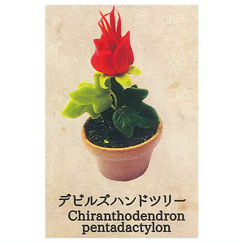 Strange Plants of the World [7.Devil's Hand Tree]