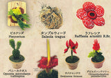 Strange Plants of the World [All 7 type set(Full Complete)]
