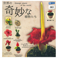 Strange Plants of the World [All 7 type set(Full Complete)]
