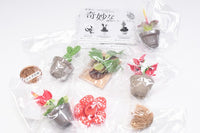 Strange Plants of the World [All 7 type set(Full Complete)]