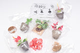 Strange Plants of the World [All 7 type set(Full Complete)]