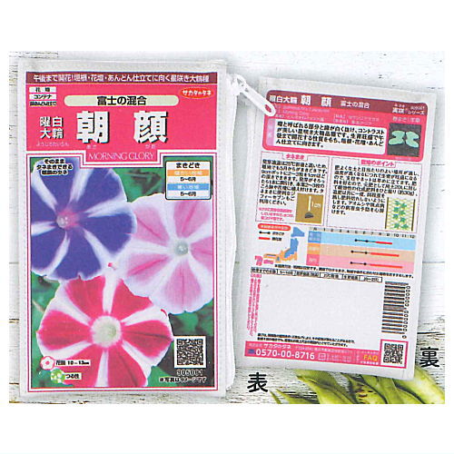 Sakata Seed Pouch Collection [4.Asagao]