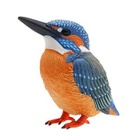 Nature of Japan Japanese Creatures 01 [4.Common Kingfisher]