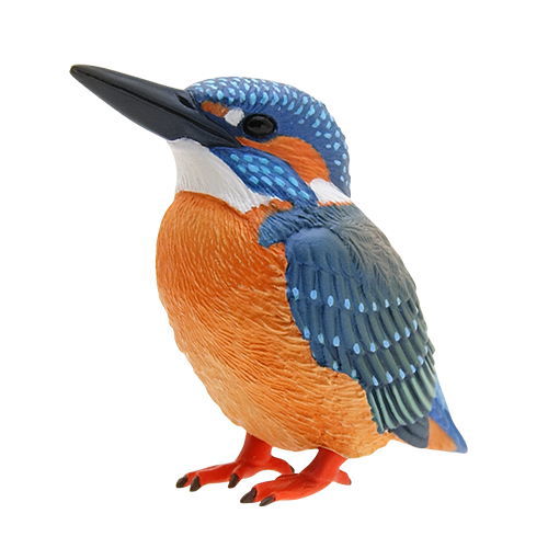 Nature of Japan Japanese Creatures 01 [4.Common Kingfisher]