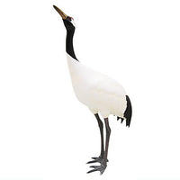 Nature of Japan Japanese Creatures 01 [5.Japanese crane]