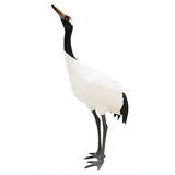 Nature of Japan Japanese Creatures 01 [5.Japanese crane]