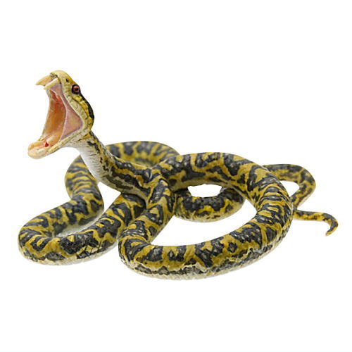 Nature of Japan Japanese Creatures 01 [6.Habu]
