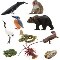 Nature of Japan Japanese Creatures 01 [All 10 type set(Full Complete)]