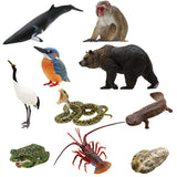 Nature of Japan Japanese Creatures 01 [All 10 type set(Full Complete)]