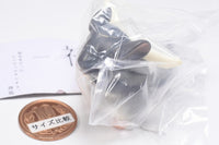 INORI [4.Grey]