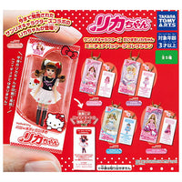 Sanrio Characters Daisuki Licca-chan Miniature Package Collection [All 5 type set(Full Complete)]