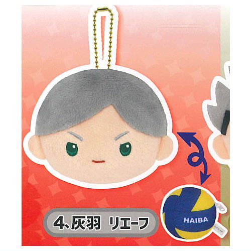 Haikyu!! reversible stuffed toy Part.2  [4.Lev Haiba]