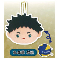Haikyu!! reversible stuffed toy Part.2  [6.Keiji Akaashi]