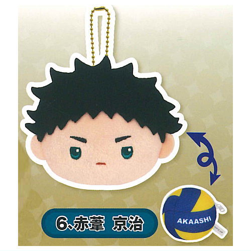 Haikyu!! reversible stuffed toy Part.2  [6.Keiji Akaashi]