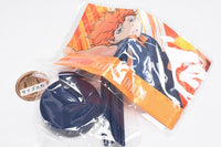 Haikyu!! Mini Nobori Karasuno High School [1.Shoyo Hinata]