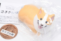 Animal Attraction Corgi sanpo [1.Kutsurogu Corgi (Fawn)]
